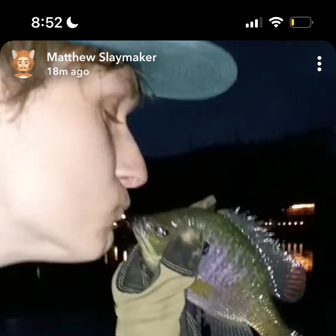 recently logged catches