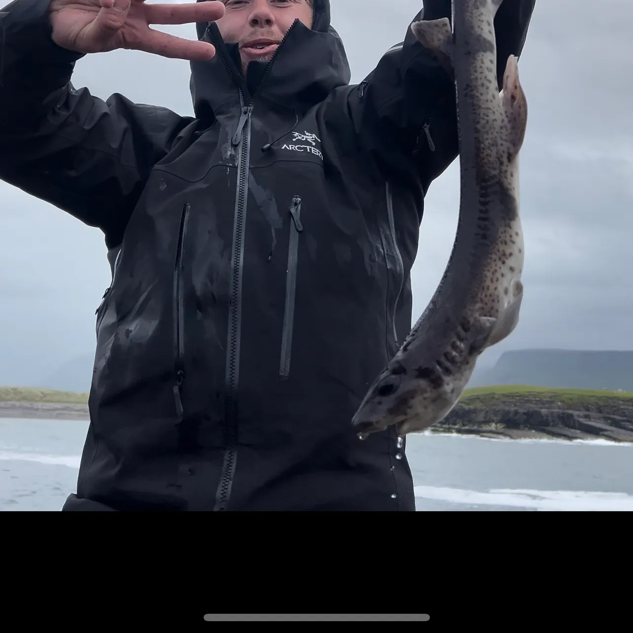 The most recent Lesser spotted dogfish catches on Fishbrain