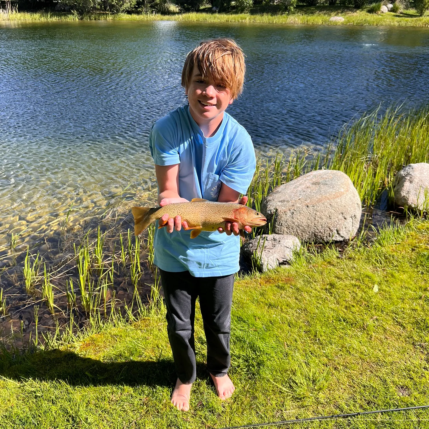 The most recent Cutthroat trout catches on Fishbrain