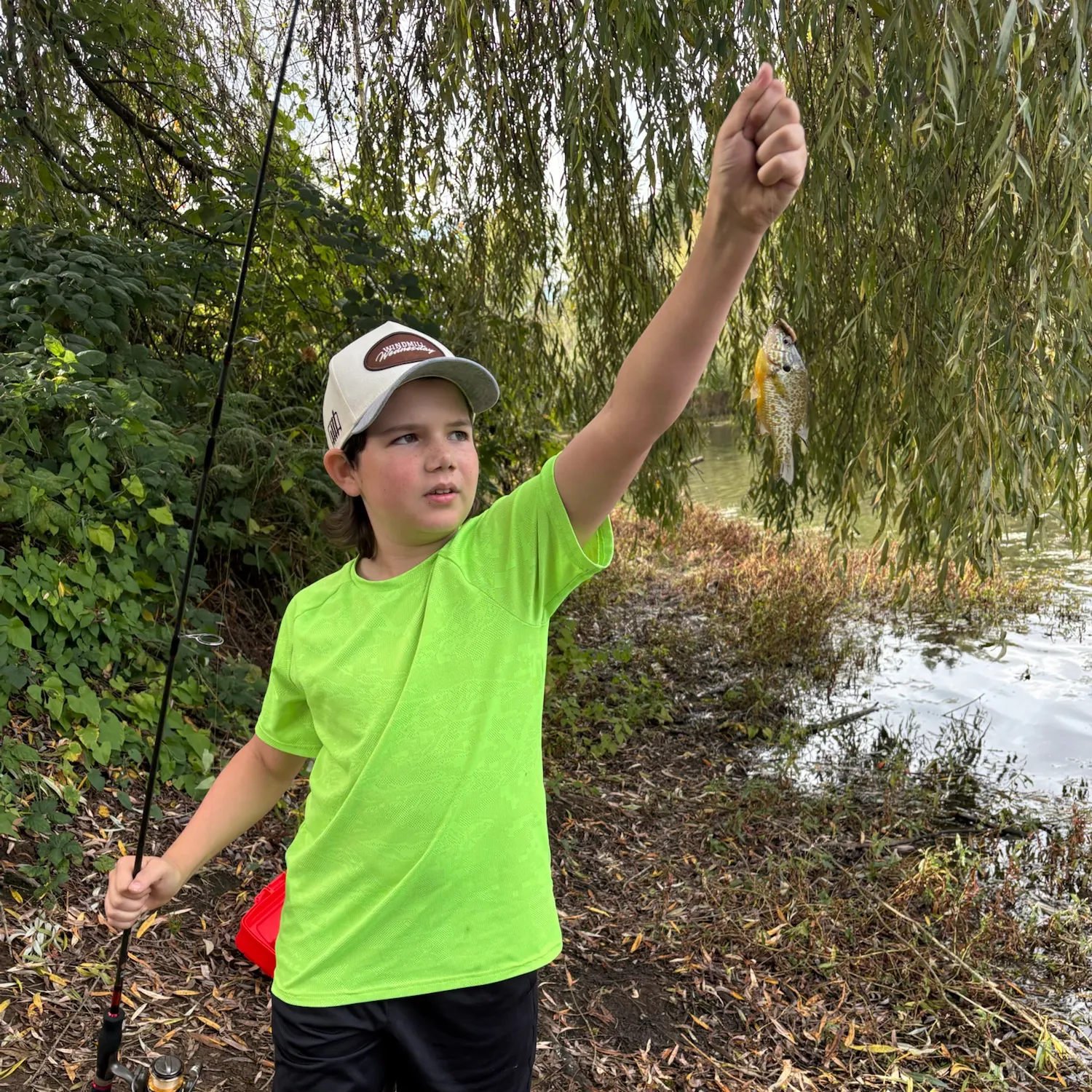 Pumpkinseed caught on Fishbrain