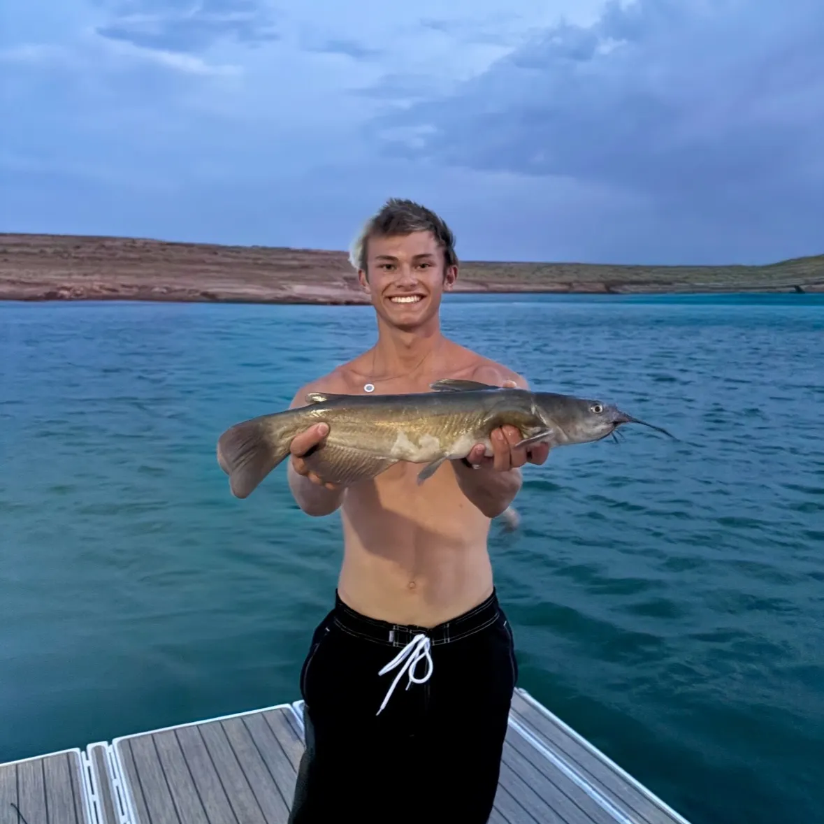 Channel catfish caught on Fishbrain