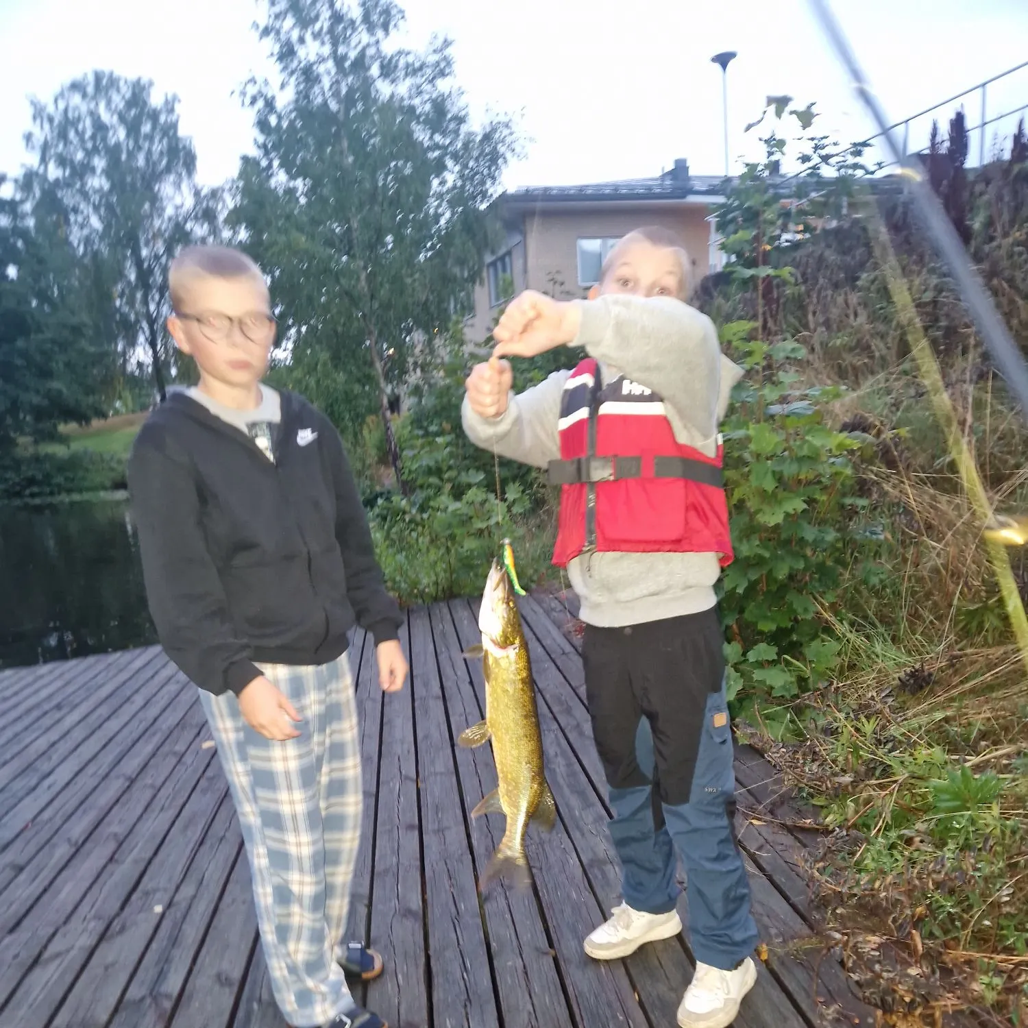 Northern pike caught on Fishbrain