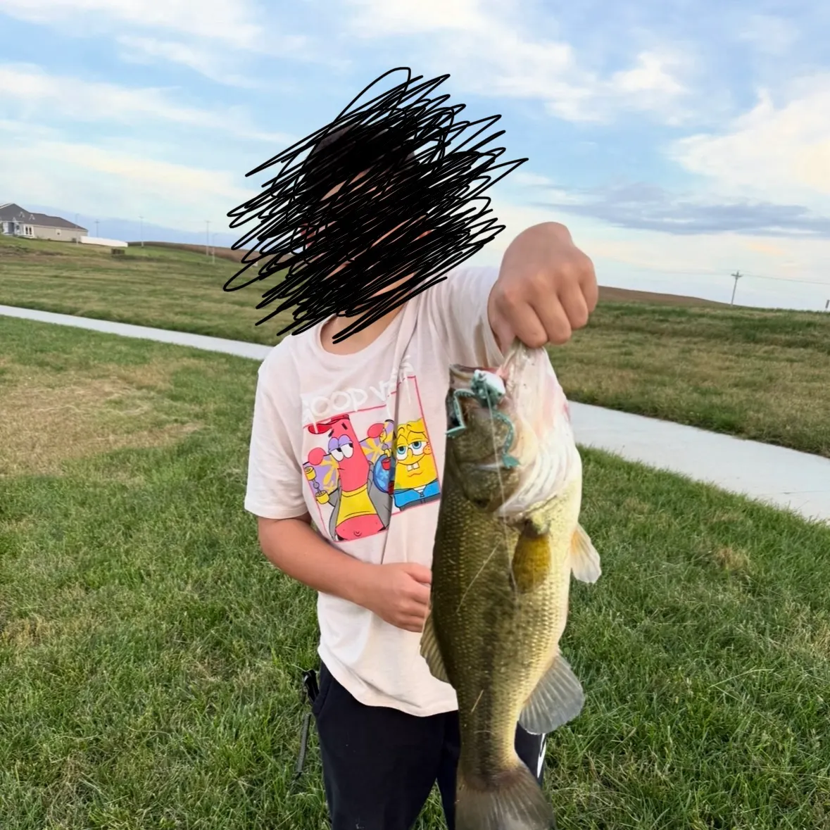 Largemouth bass caught on Fishbrain