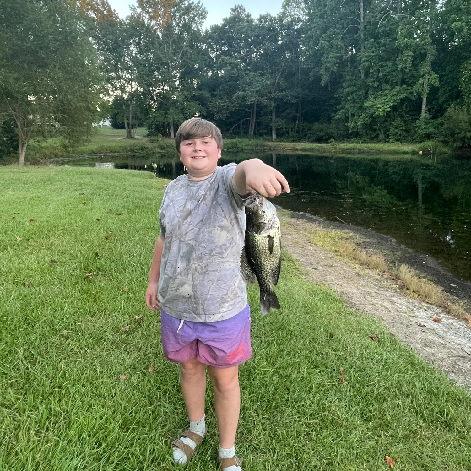White crappie caught on Fishbrain