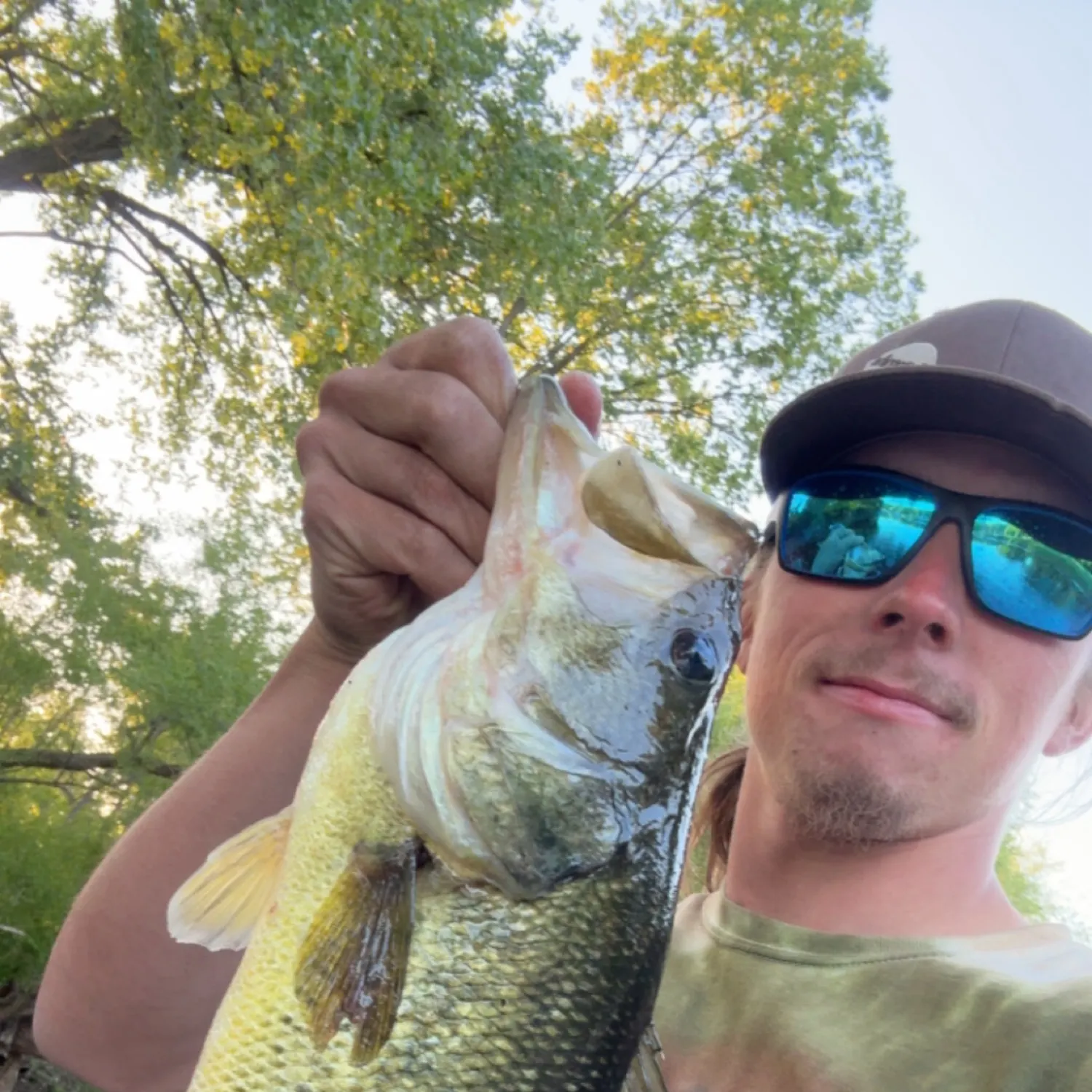 angler catch
