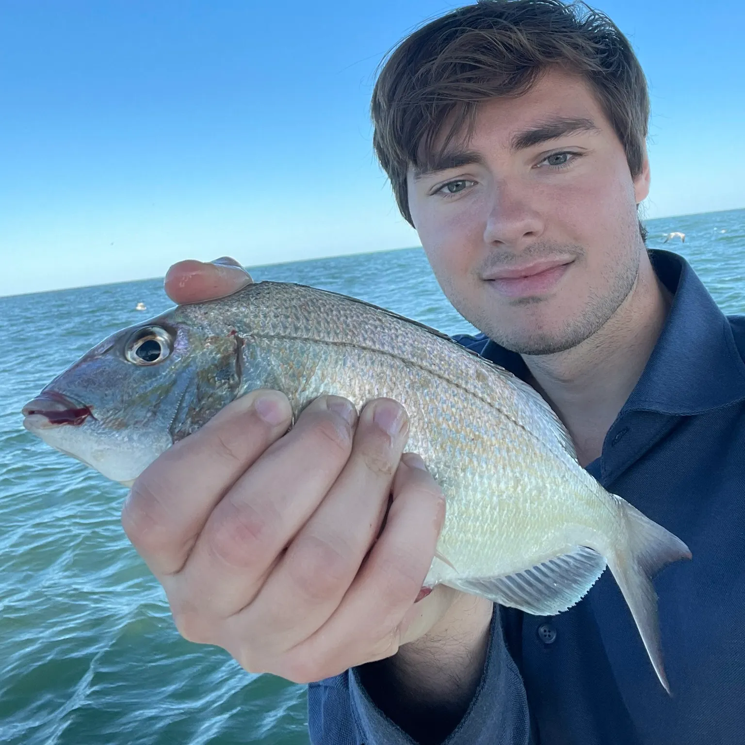 The most recent Scup catches on Fishbrain