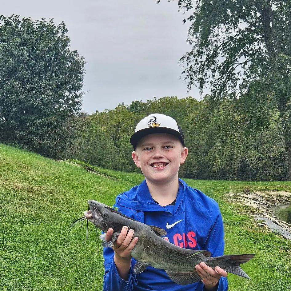 Channel catfish caught on Fishbrain
