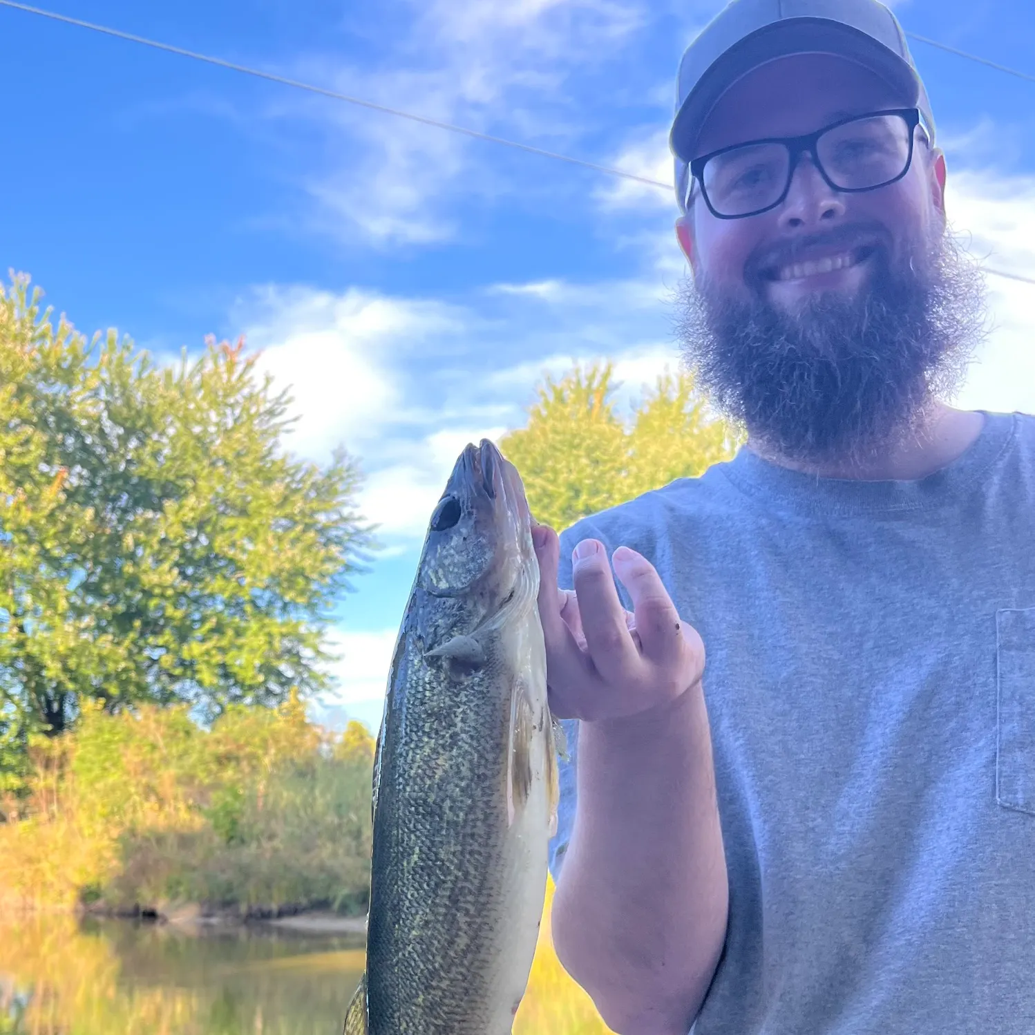Walleye caught on Fishbrain