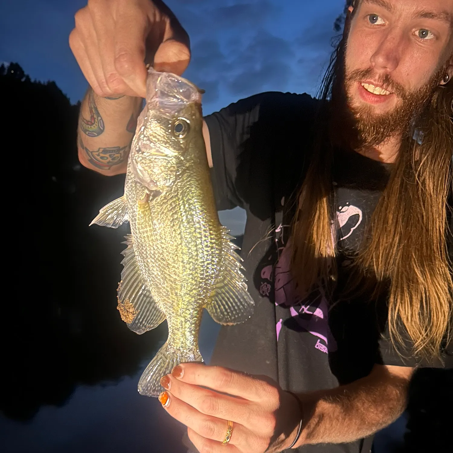 The most recent Black crappie catches on Fishbrain