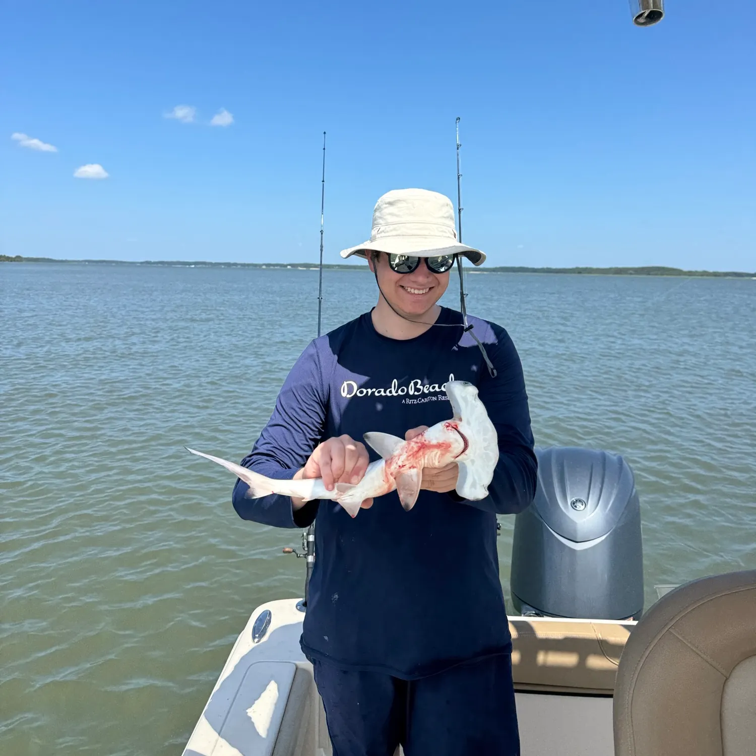 Bonnethead shark caught on Fishbrain