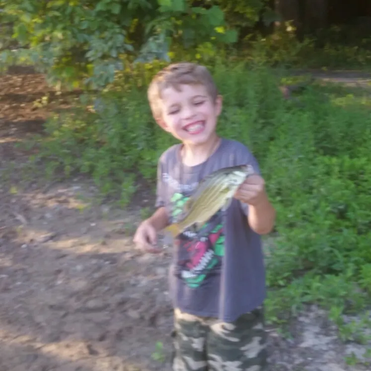 angler catch