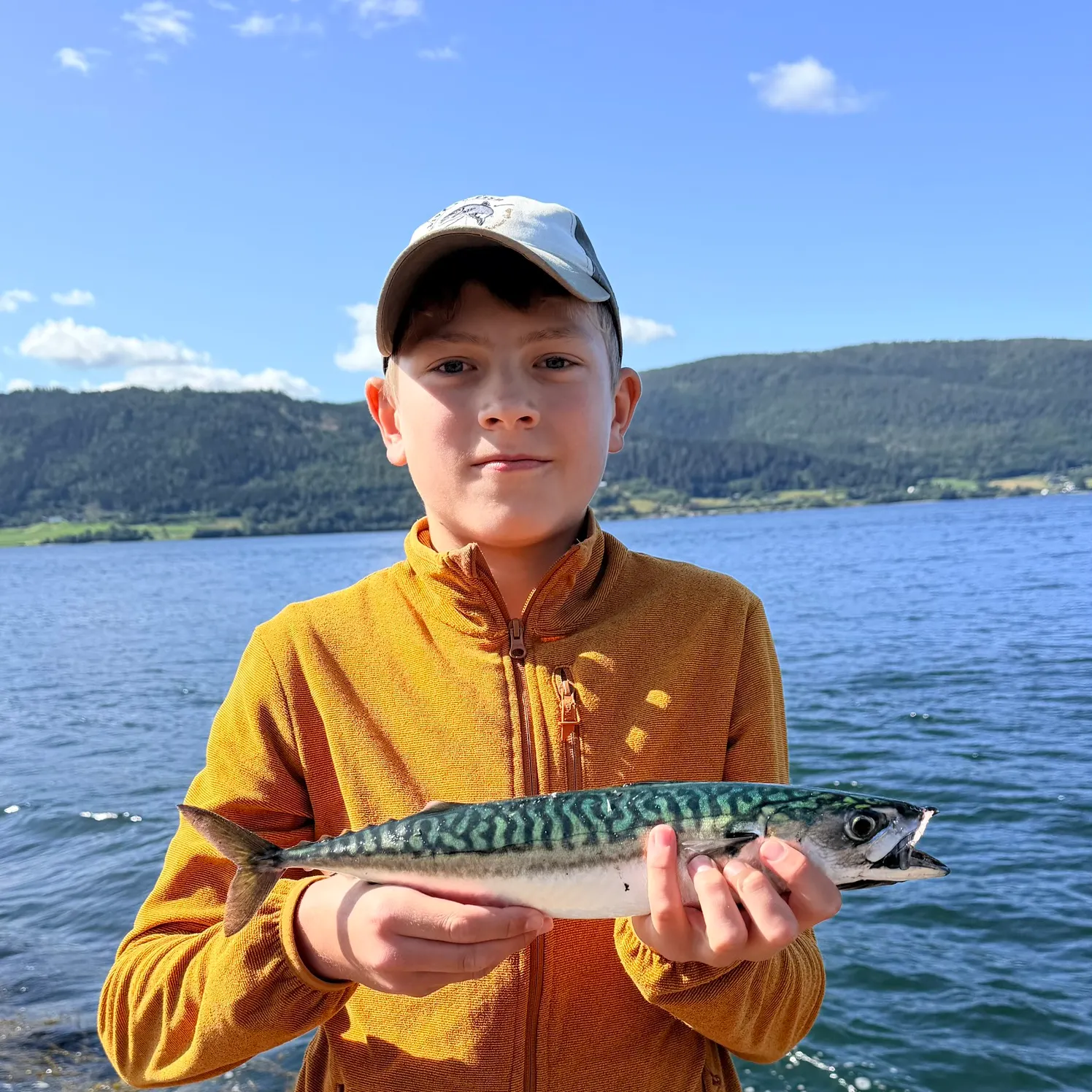 Atlantic mackerel caught on Fishbrain