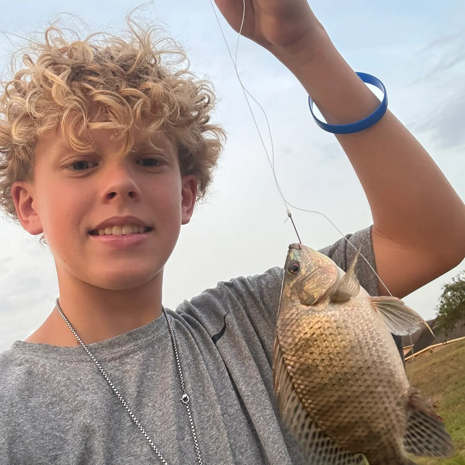 Redbelly tilapia caught on Fishbrain
