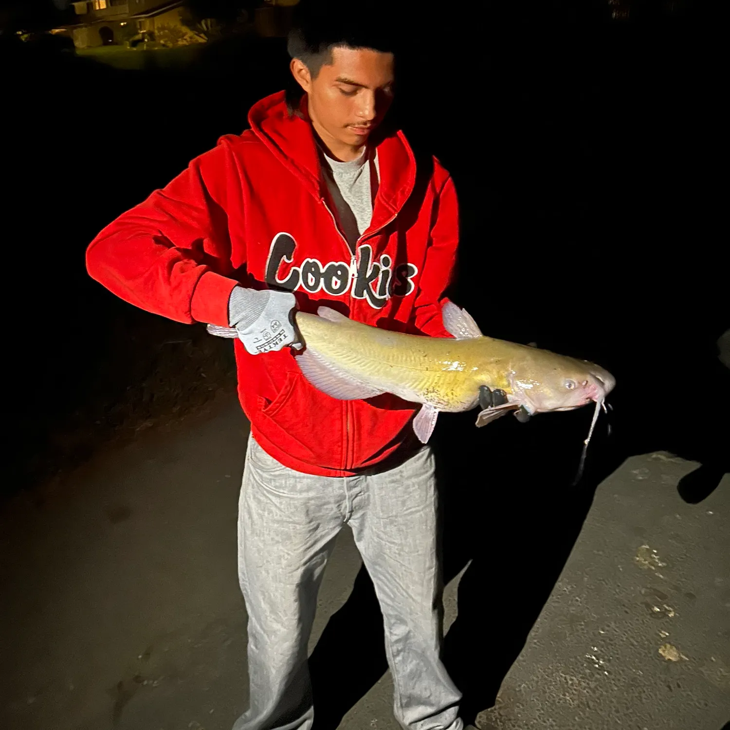 catch