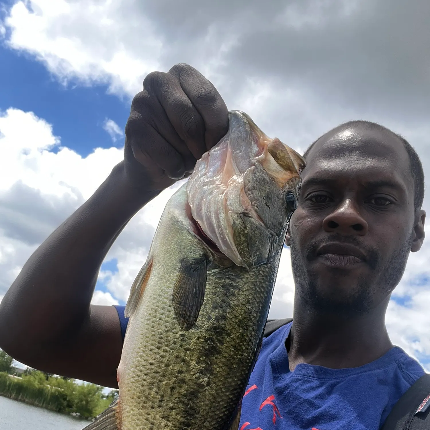 The most recent Largemouth bass catches on Fishbrain