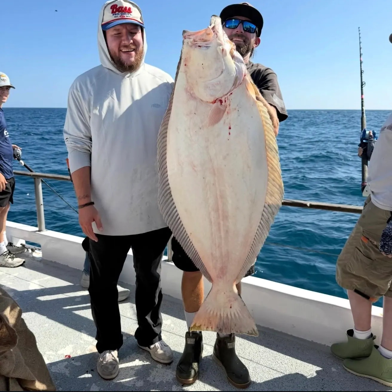 California halibut caught on Fishbrain