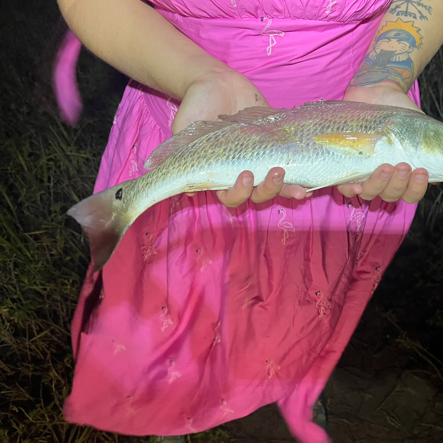Red drum caught on Fishbrain
