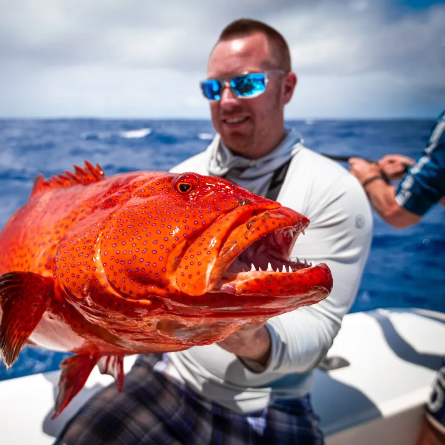 The most popular recent Leopard coralgrouper catch on Fishbrain