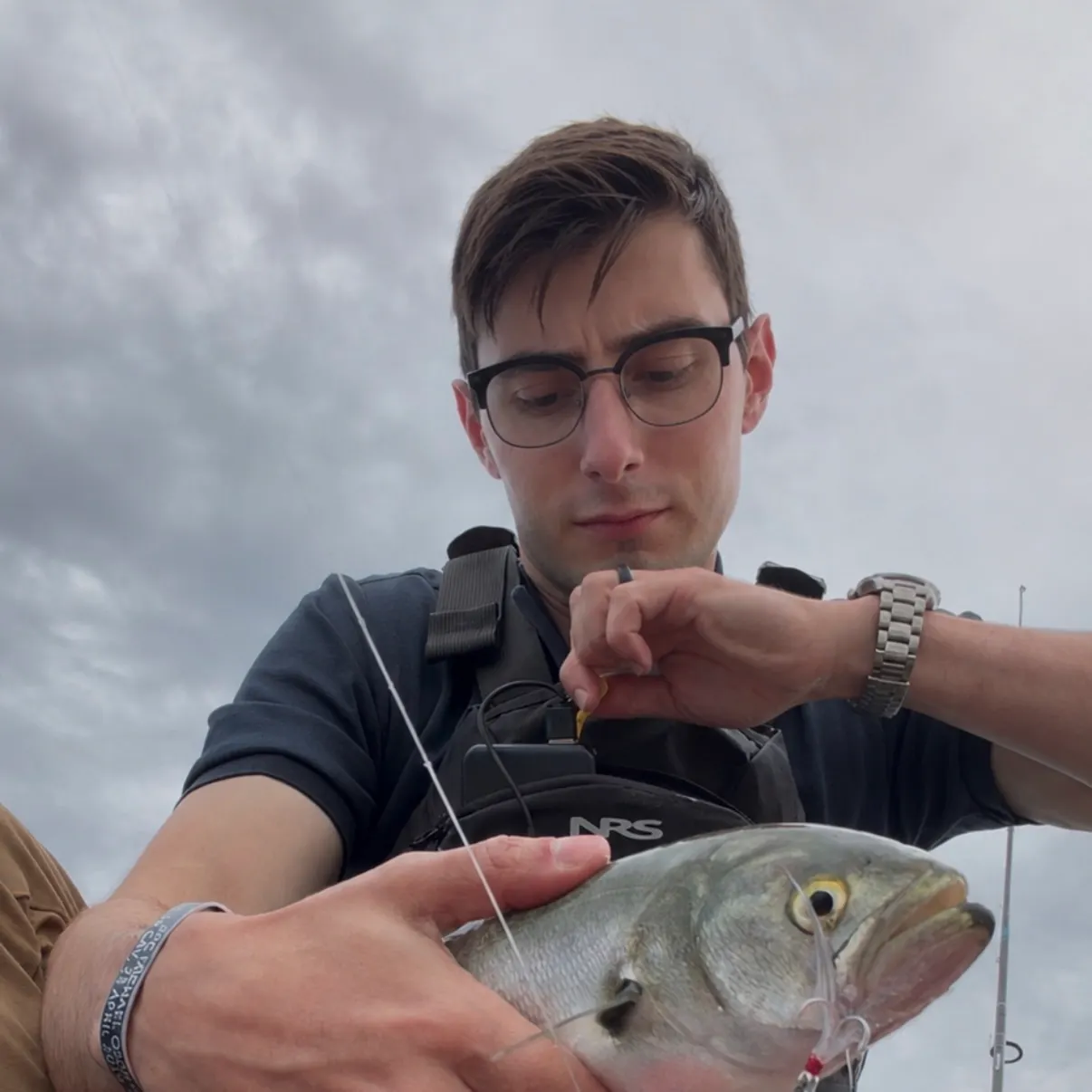 Bluefish caught on Fishbrain