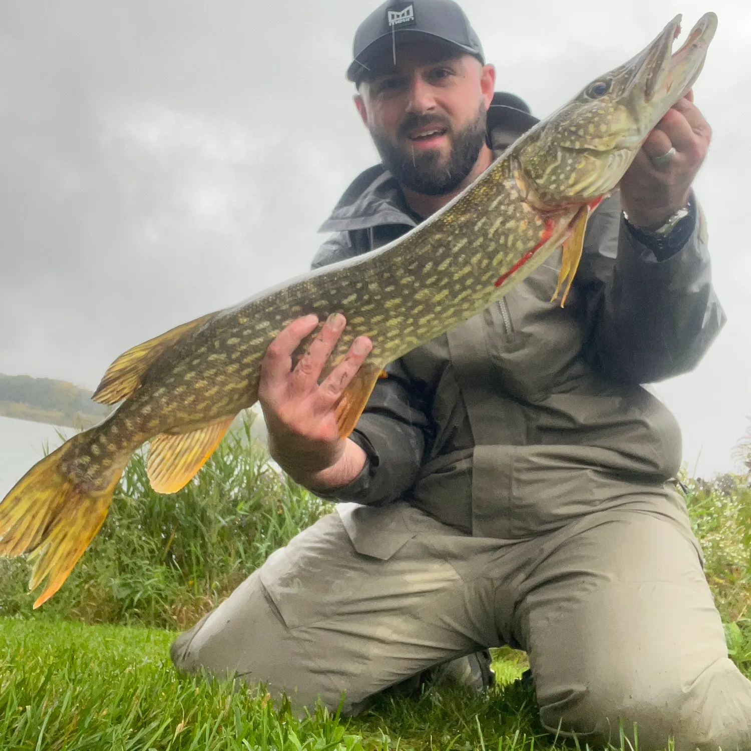 Northern pike caught on Fishbrain
