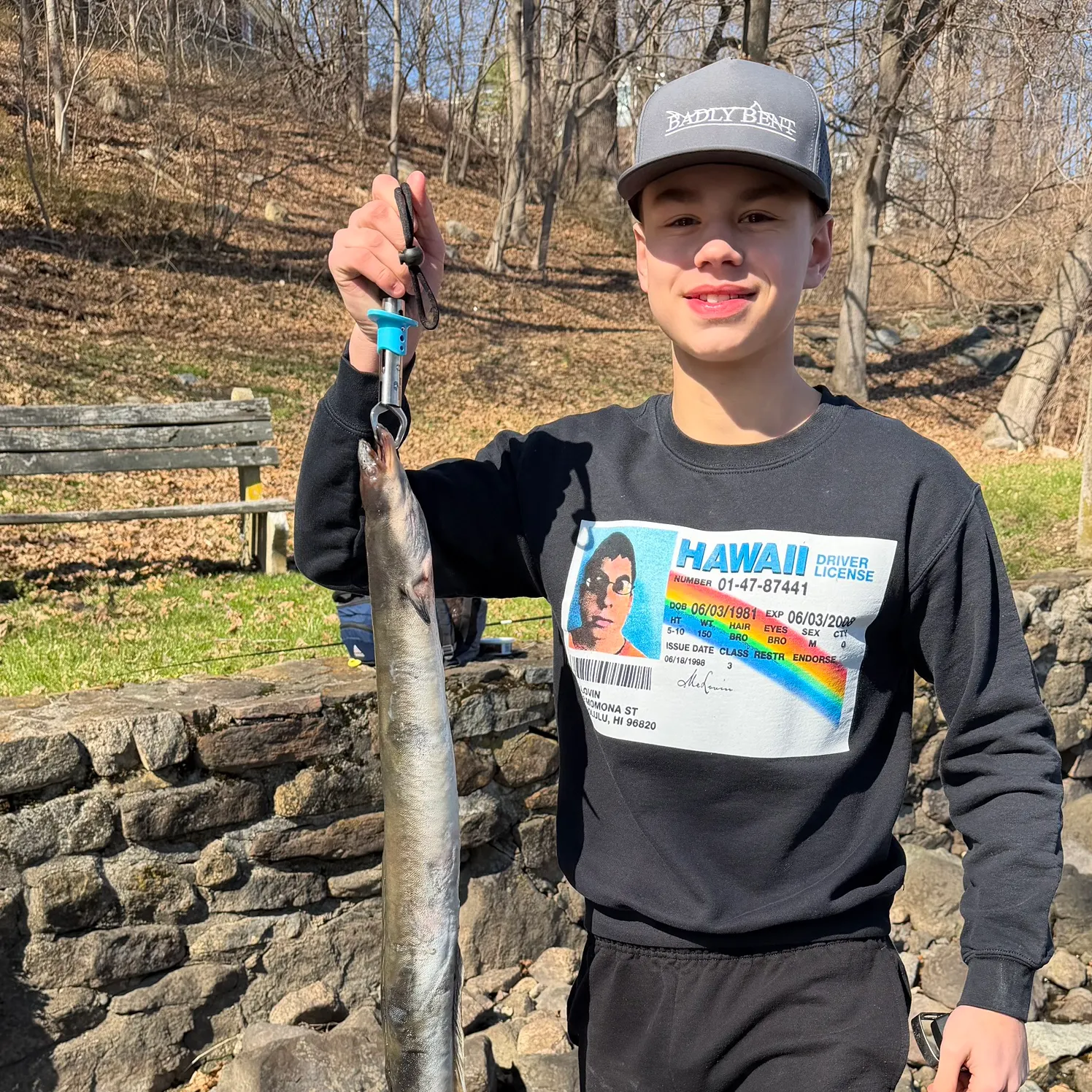 The most recent American eel catches on Fishbrain