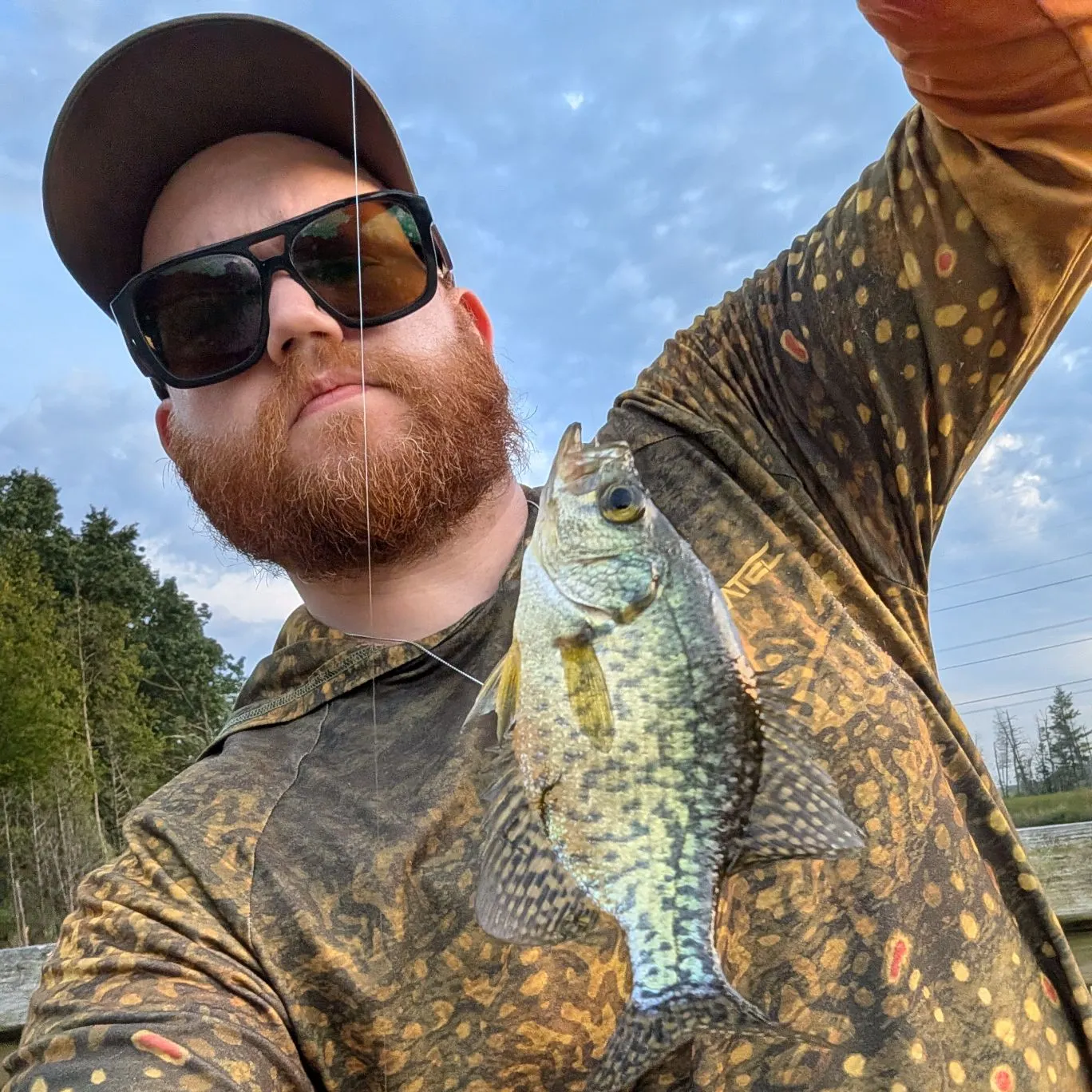 Black crappie caught on Fishbrain