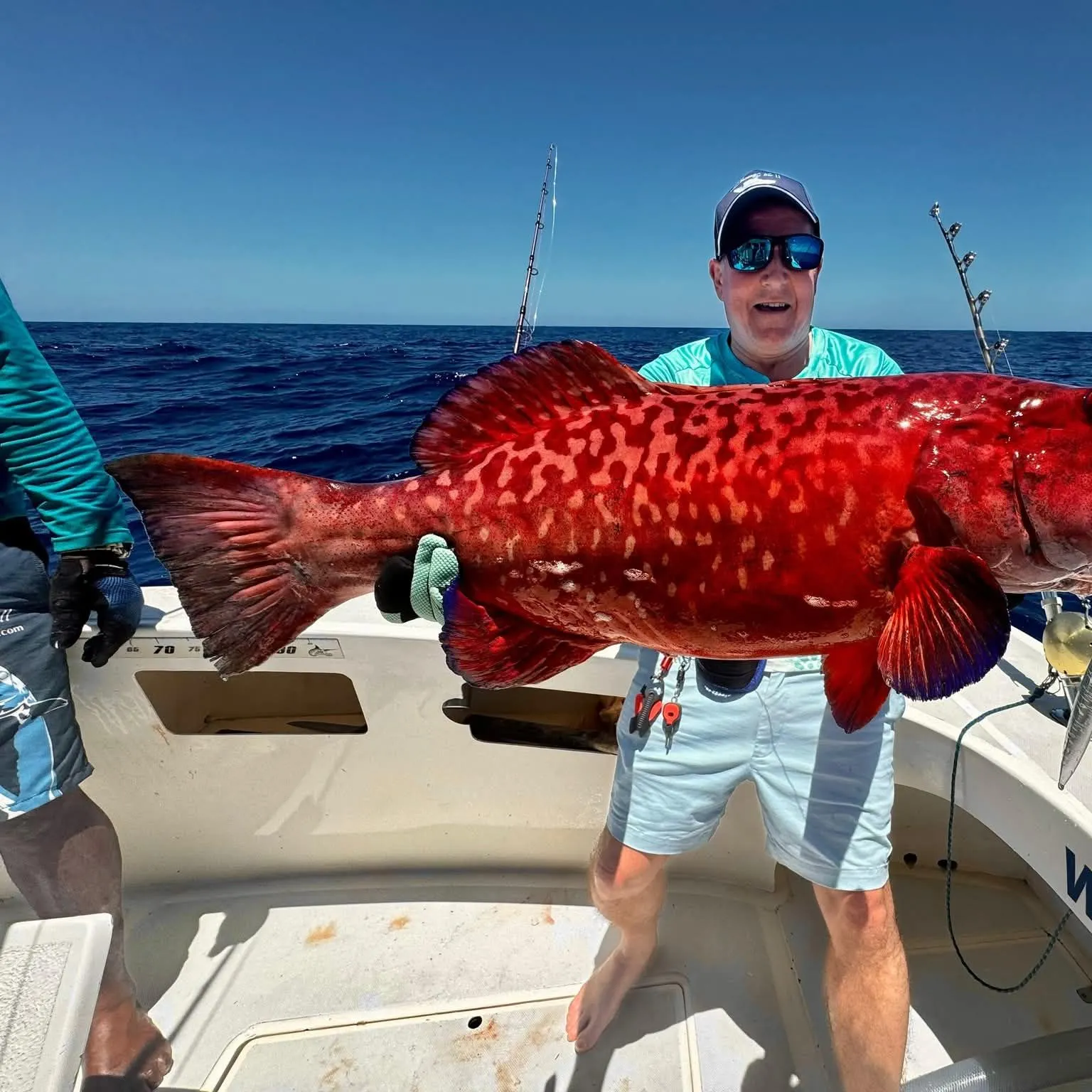 The most recent Spotted coralgrouper catches on Fishbrain