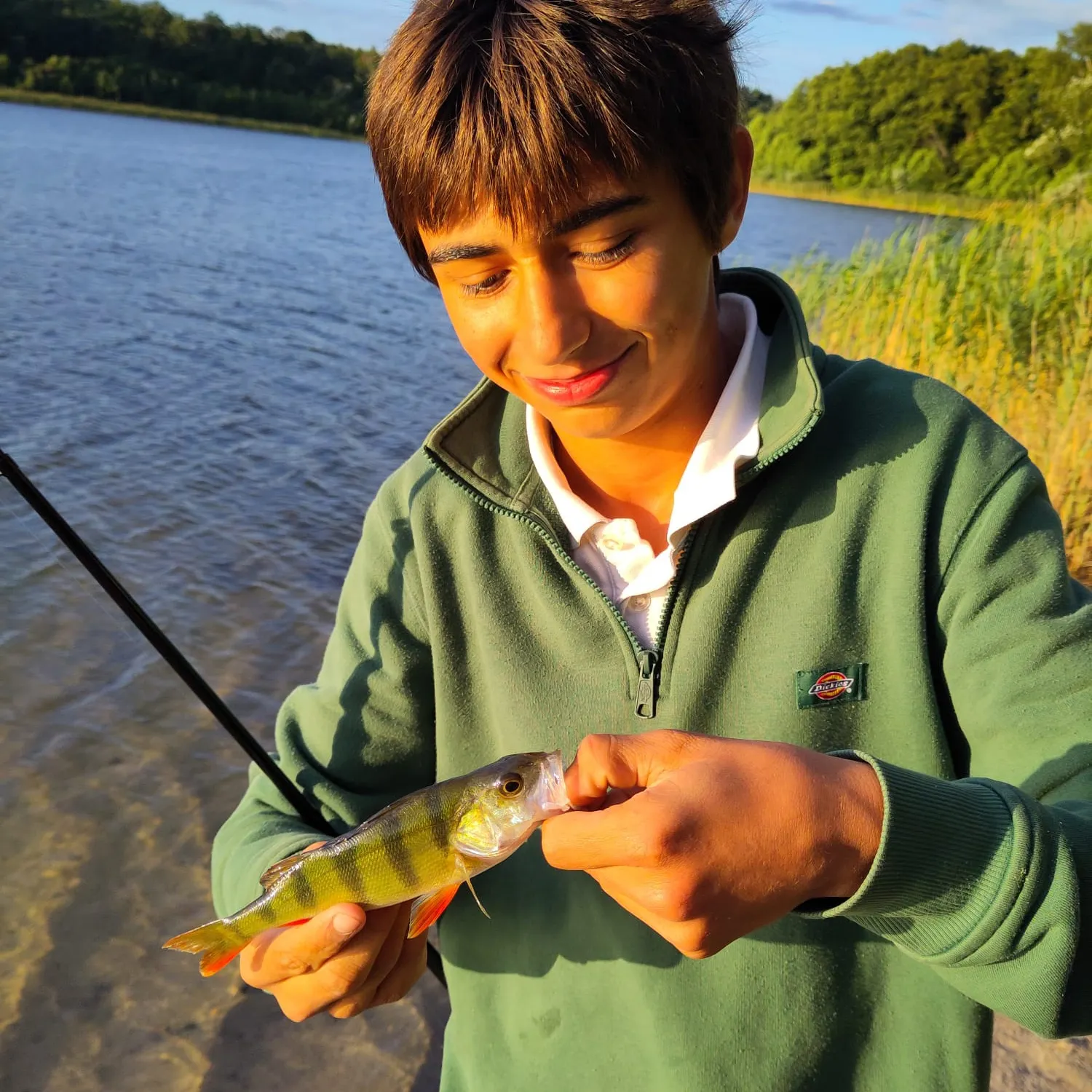 European perch caught on Fishbrain
