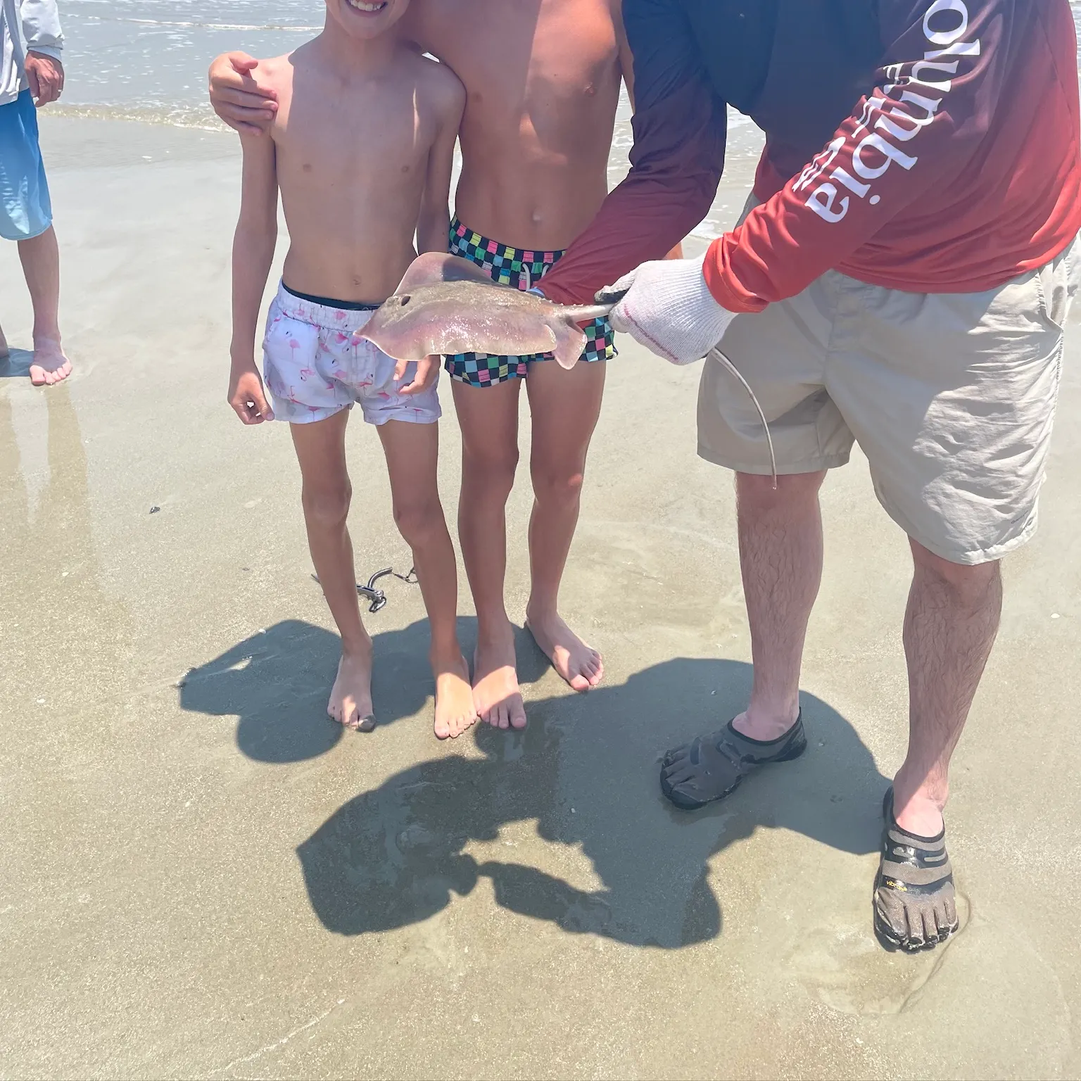 The most recent Atlantic stingray catches on Fishbrain