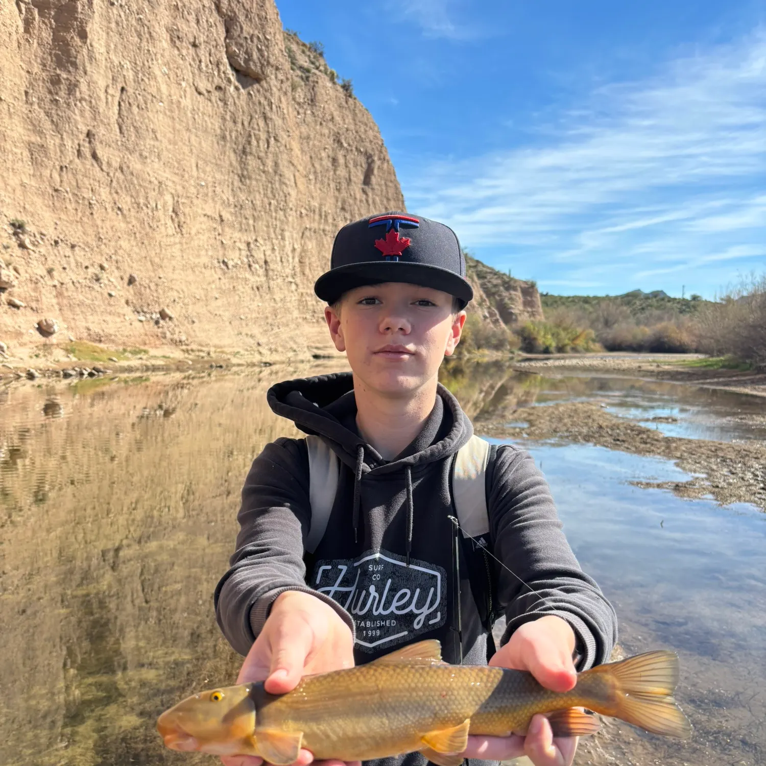 The most recent Sonora sucker catches on Fishbrain