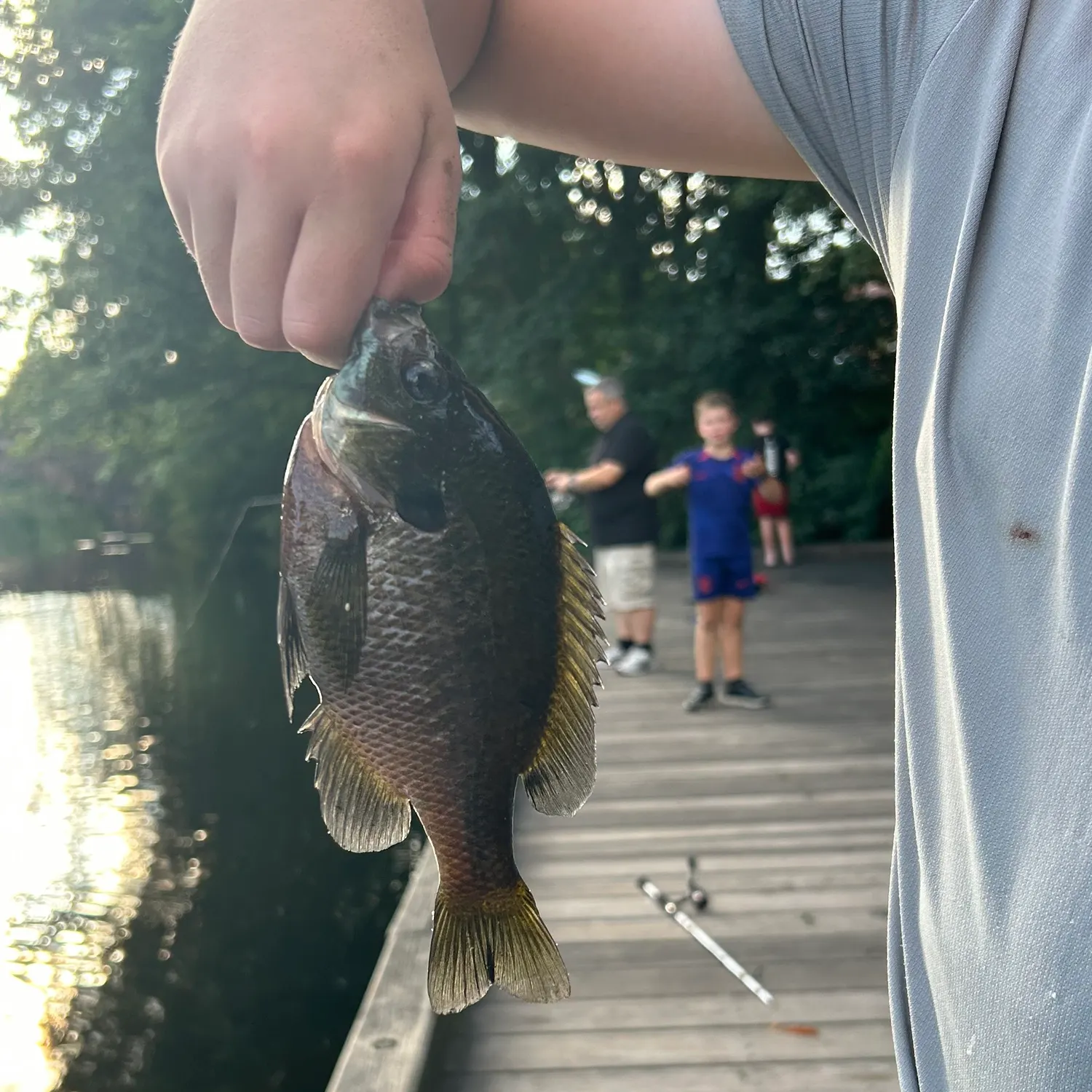 catch