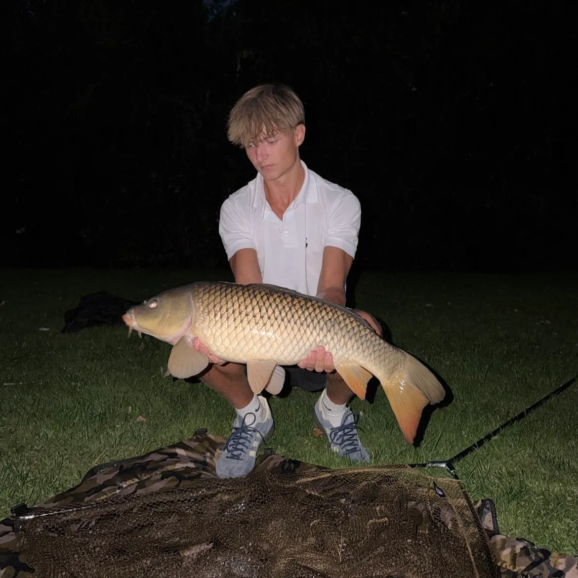 Common carp caught on Fishbrain