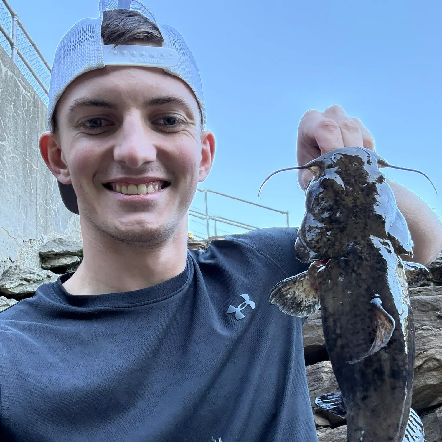 Flathead catfish caught on Fishbrain