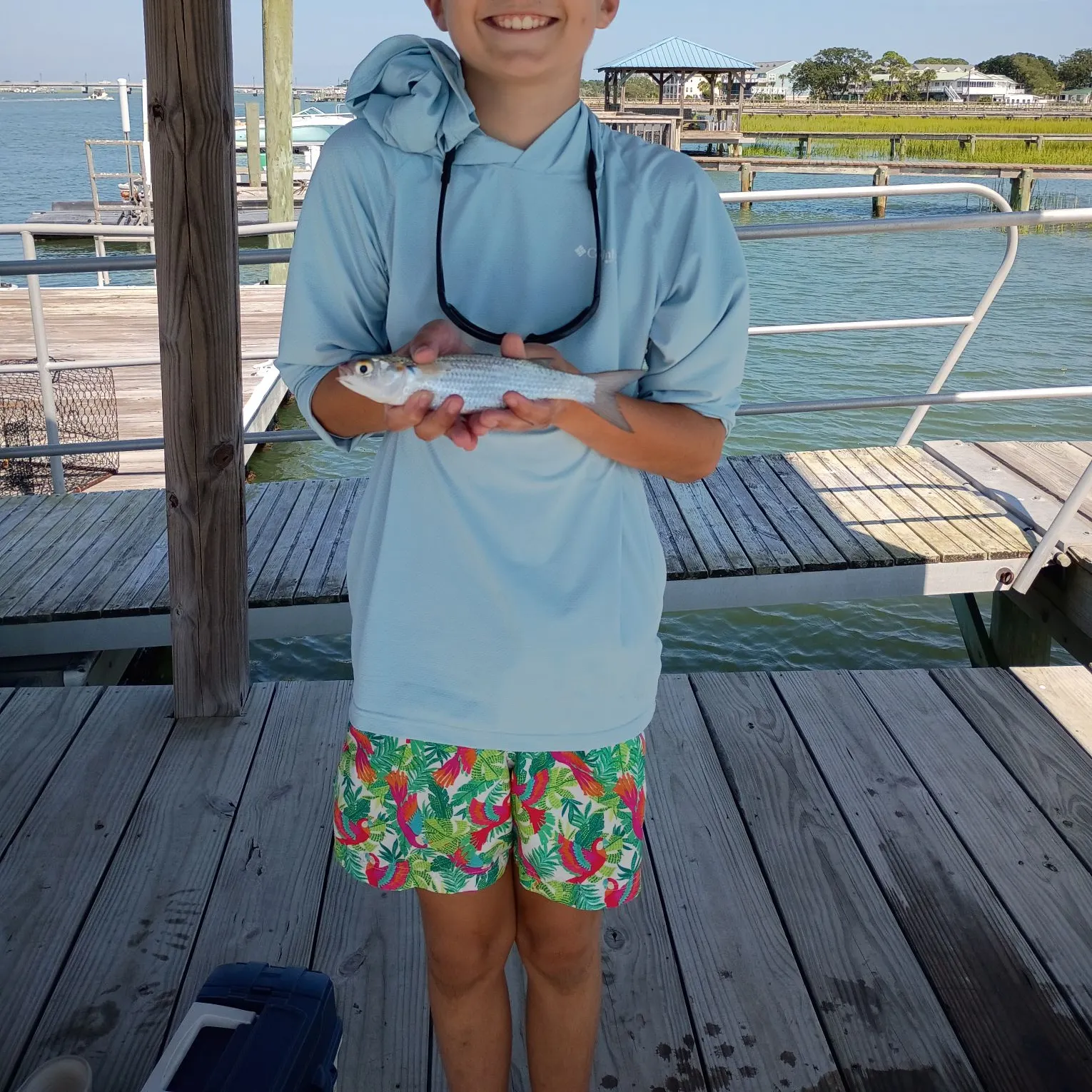 The most recent Striped mullet catches on Fishbrain