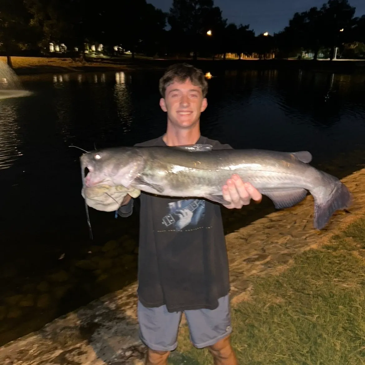 Blue catfish caught on Fishbrain
