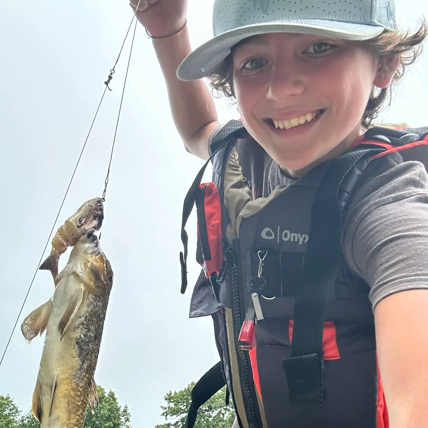 Northern hogsucker caught on Fishbrain