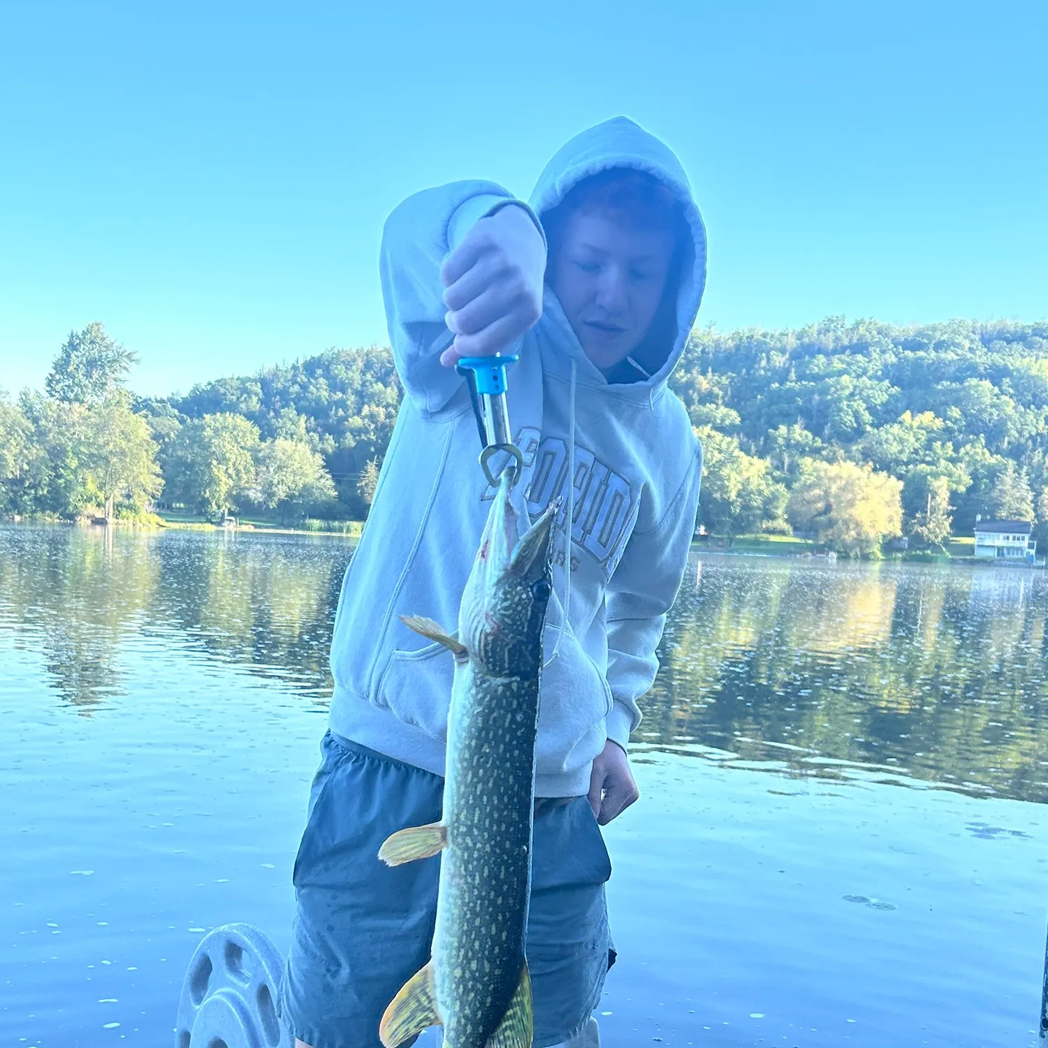 Northern pike caught on Fishbrain