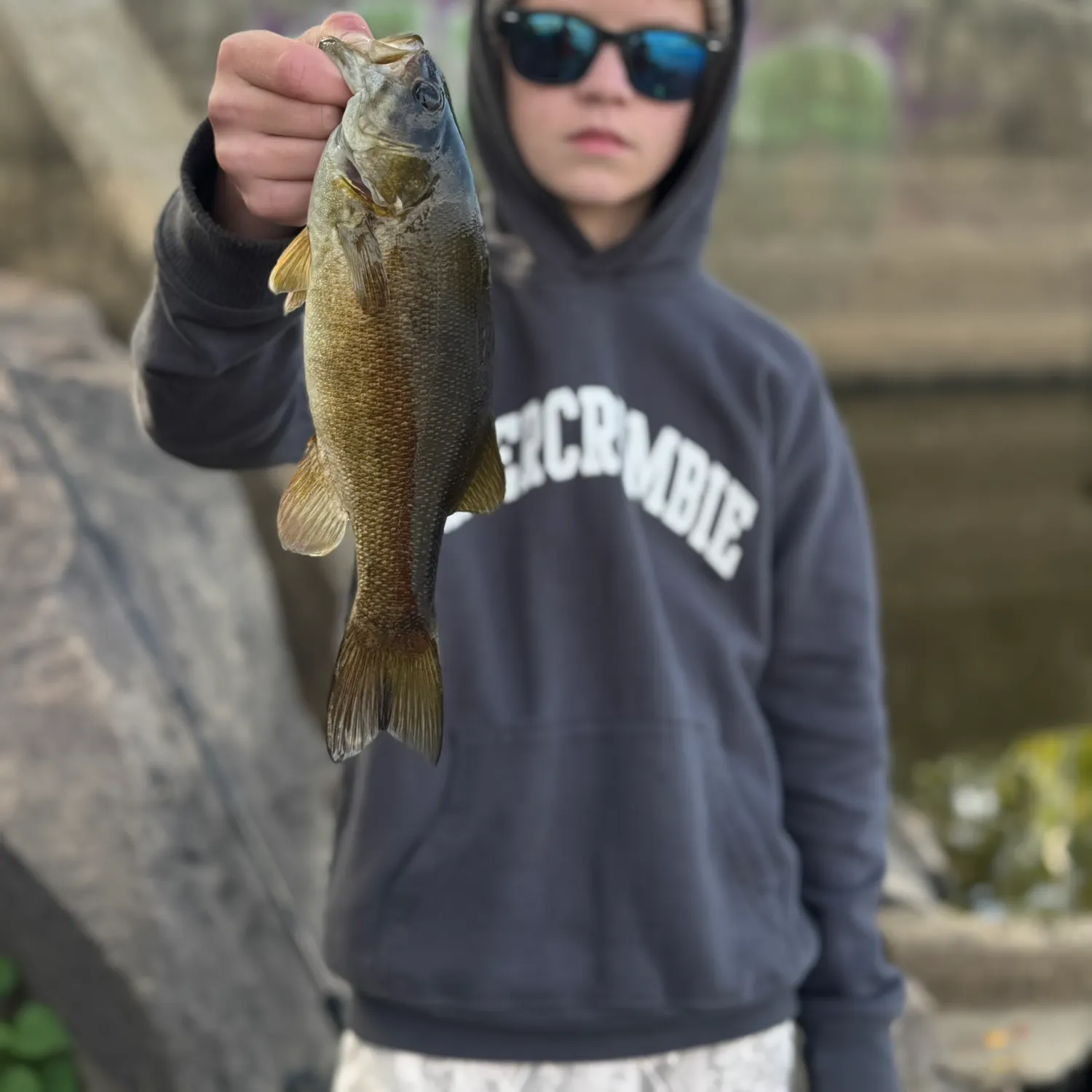Smallmouth bass caught on Fishbrain