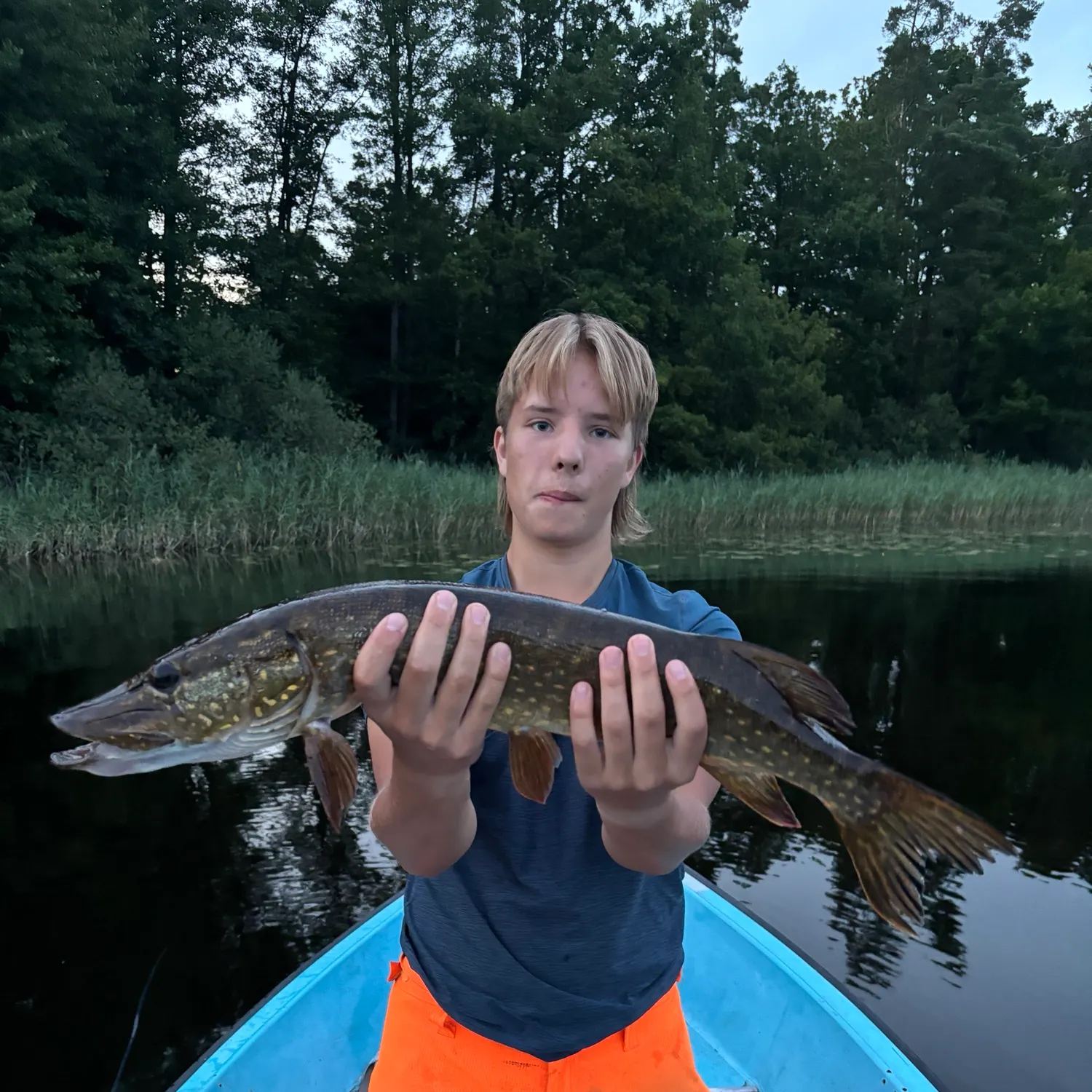 Northern pike caught on Fishbrain