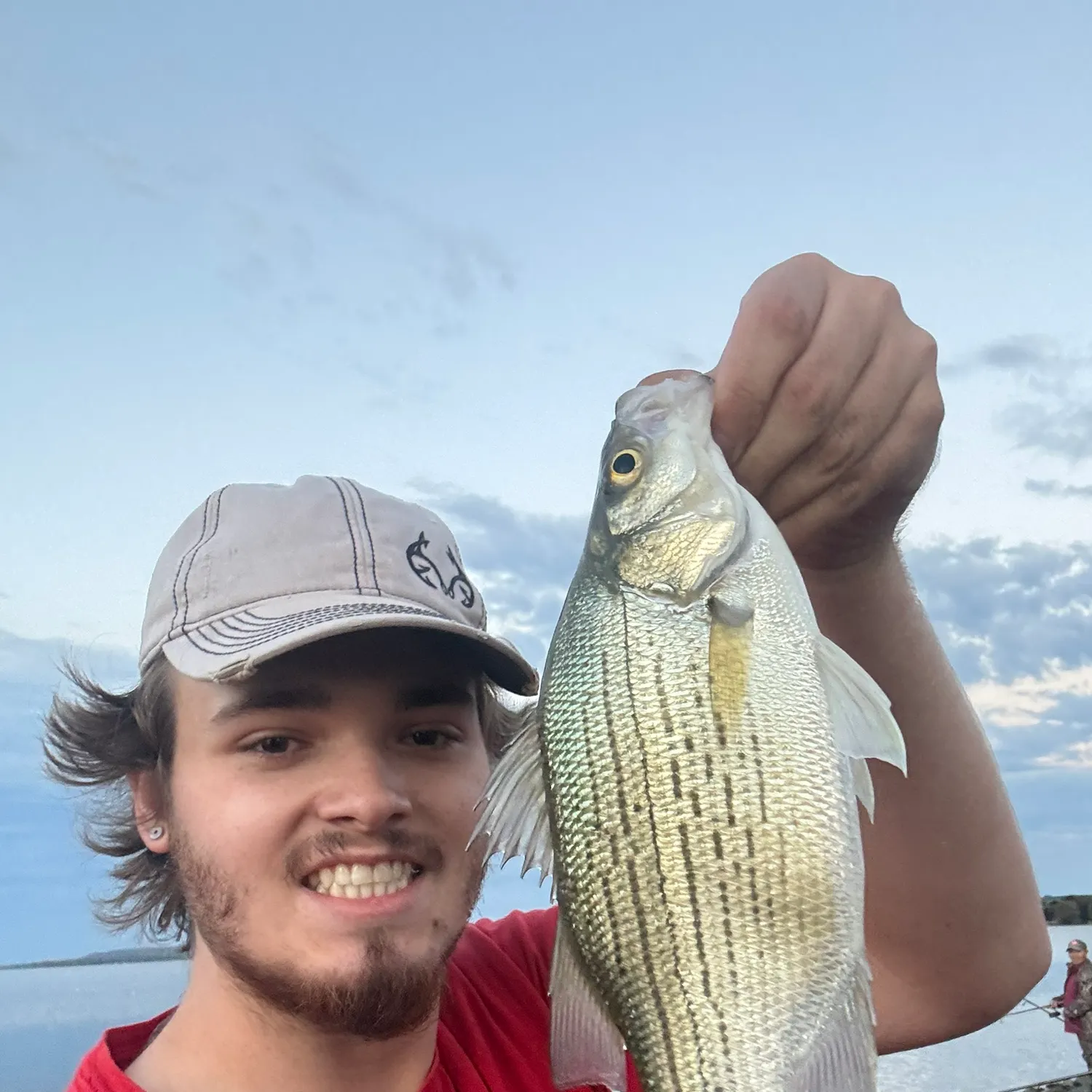 White bass caught on Fishbrain