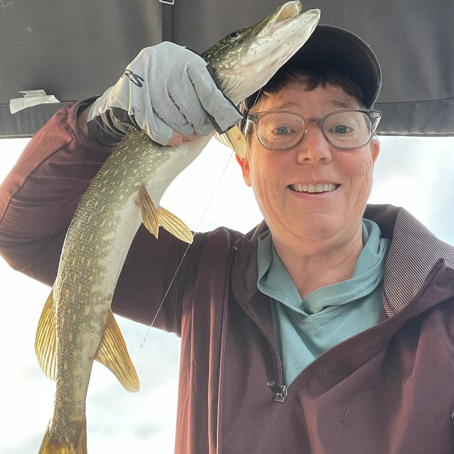 Northern pike caught on Fishbrain