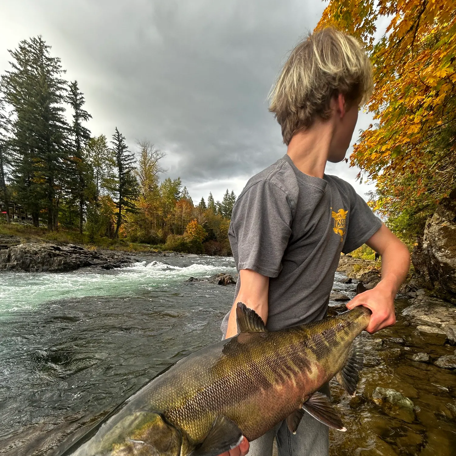 Chum salmon caught on Fishbrain