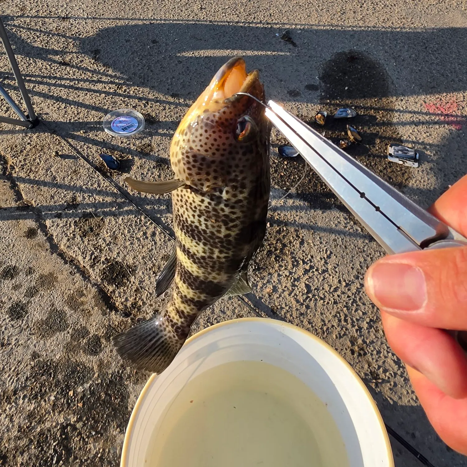 catch