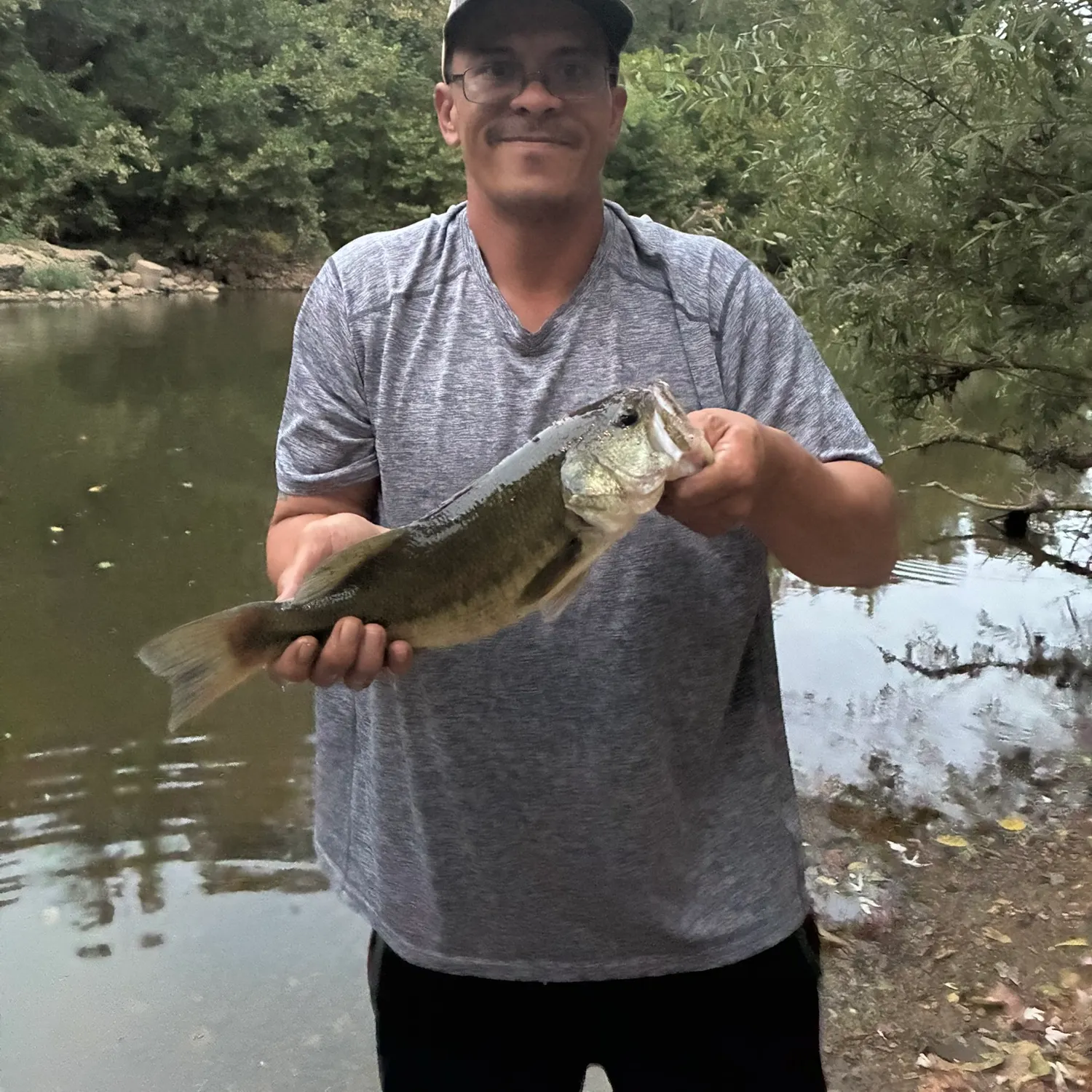 Largemouth bass caught on Fishbrain