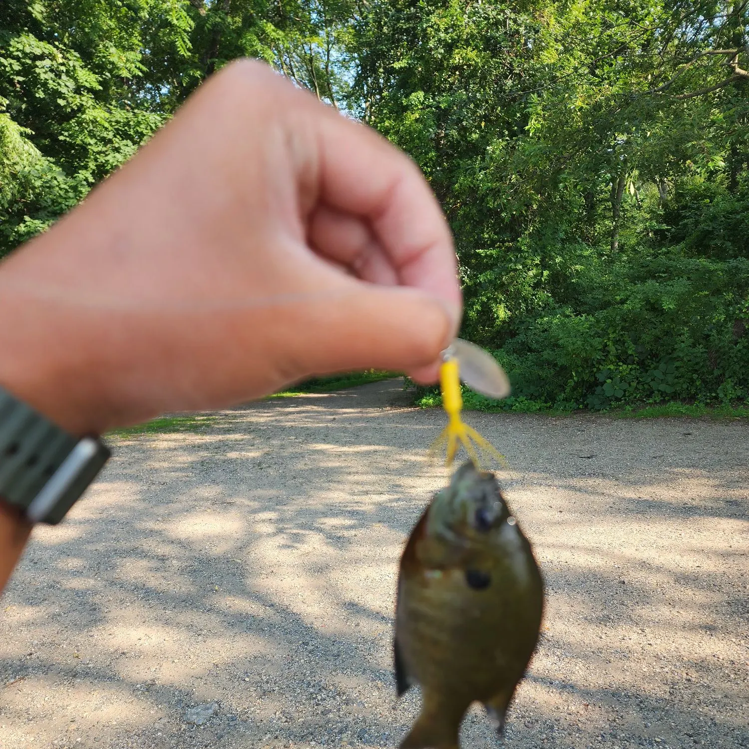 catch
