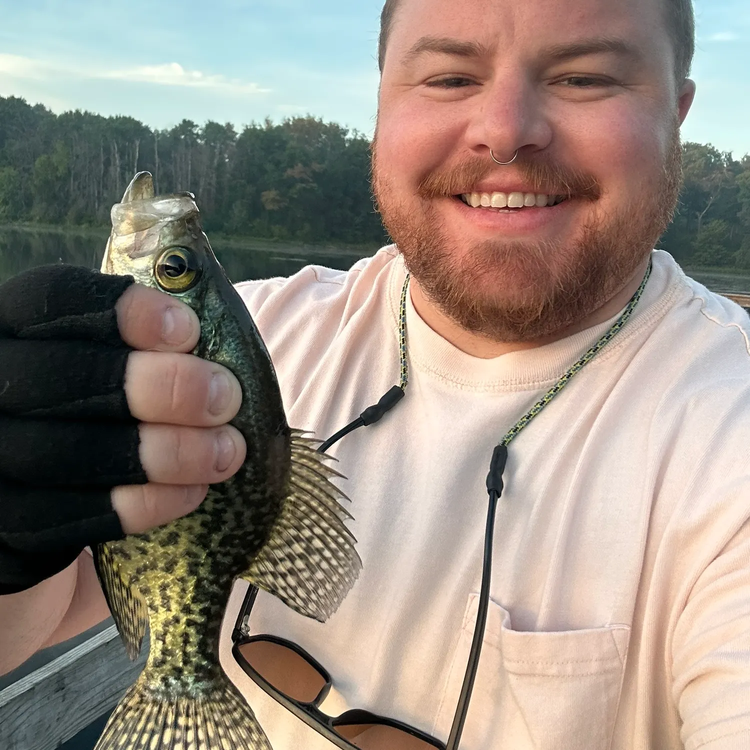 Black crappie caught on Fishbrain