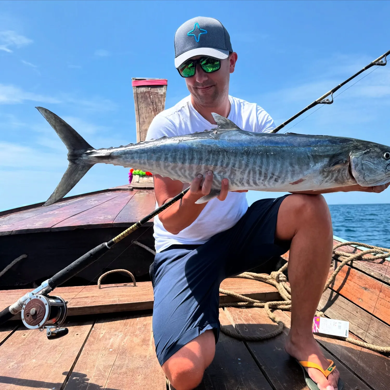 The most popular recent Narrow-barred Spanish mackerel catch on Fishbrain