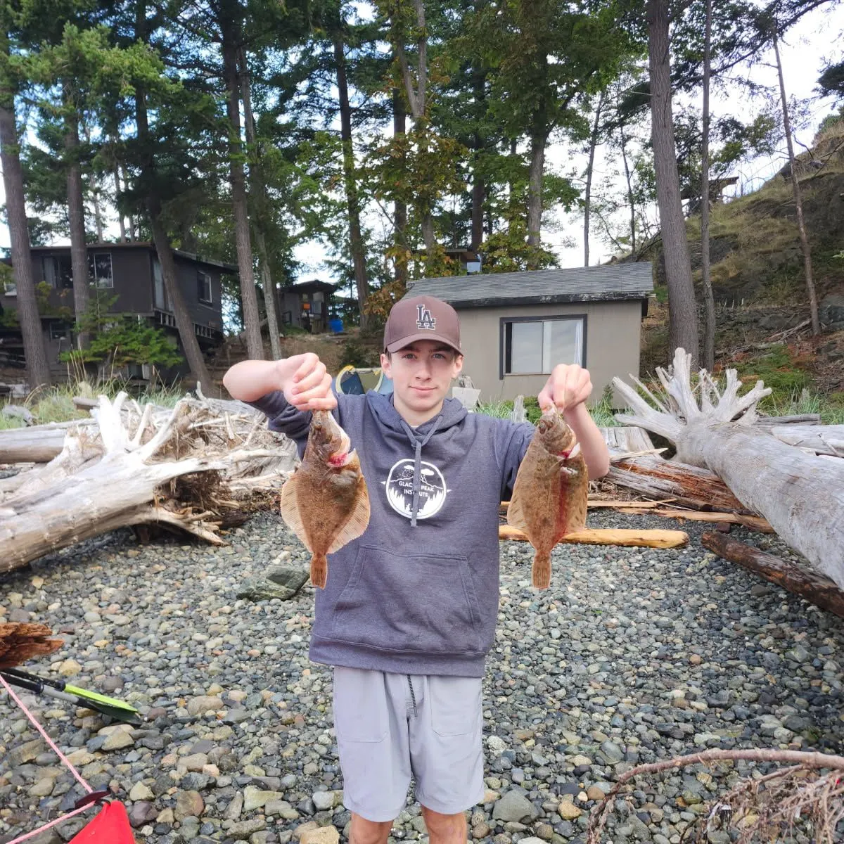 The most recent Northern rock sole catches on Fishbrain