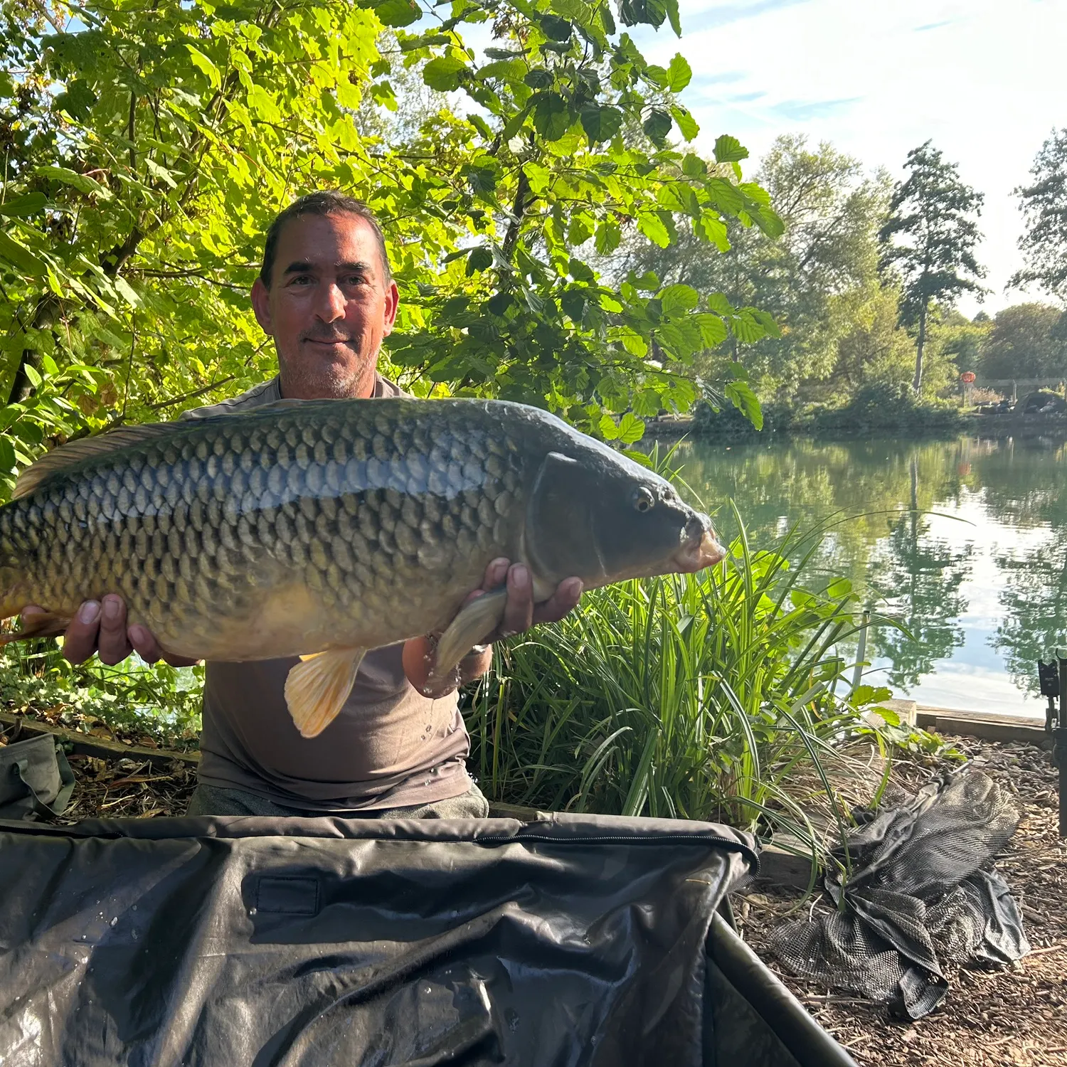 Common carp caught on Fishbrain