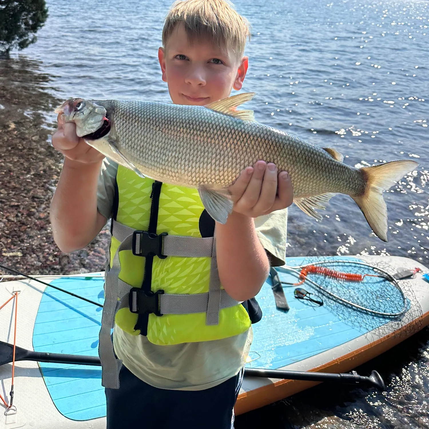 The most recent Lake whitefish catches on Fishbrain